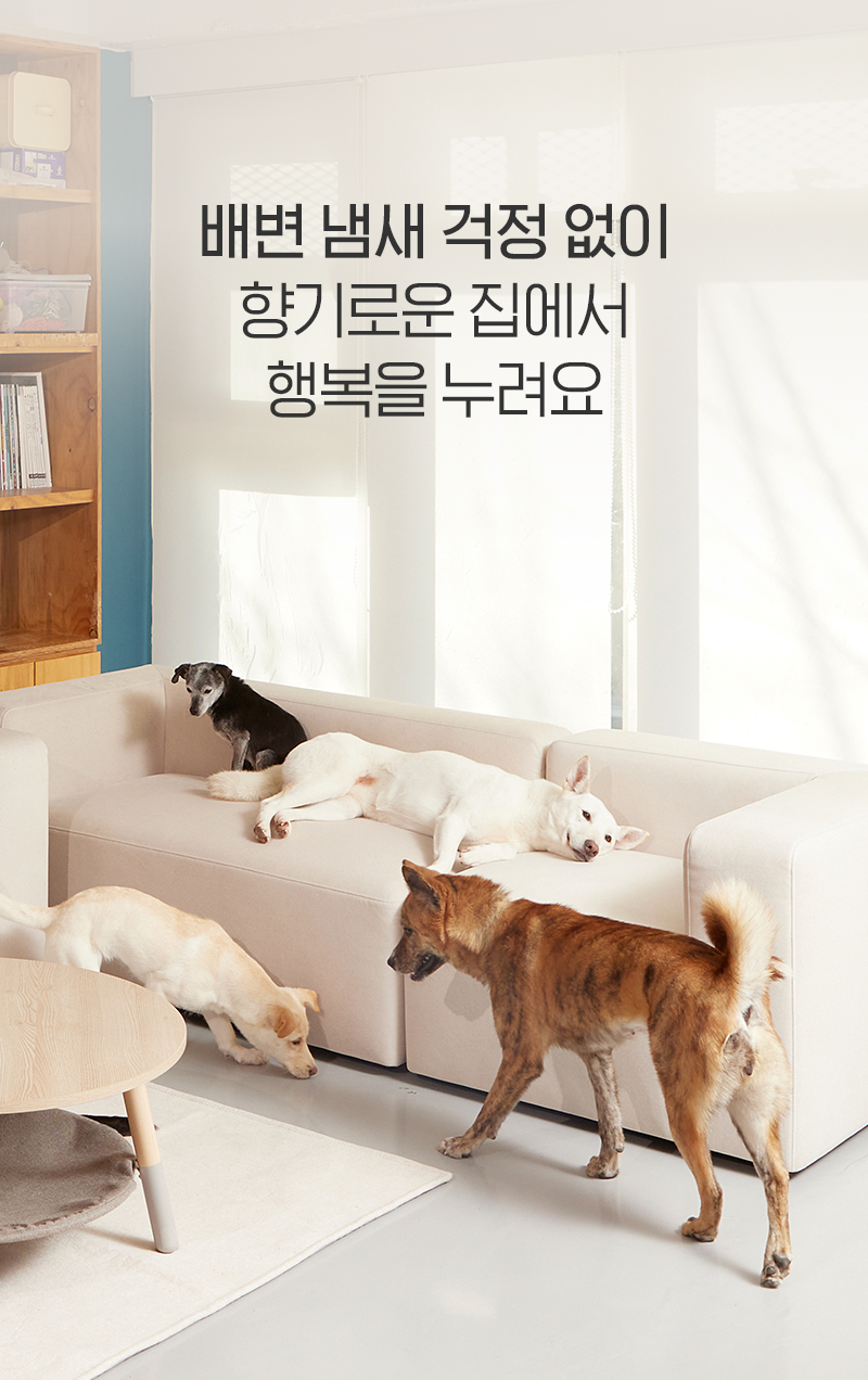 240610_파인솔_네이버몰_반려동물카테고리_상세_01.jpg