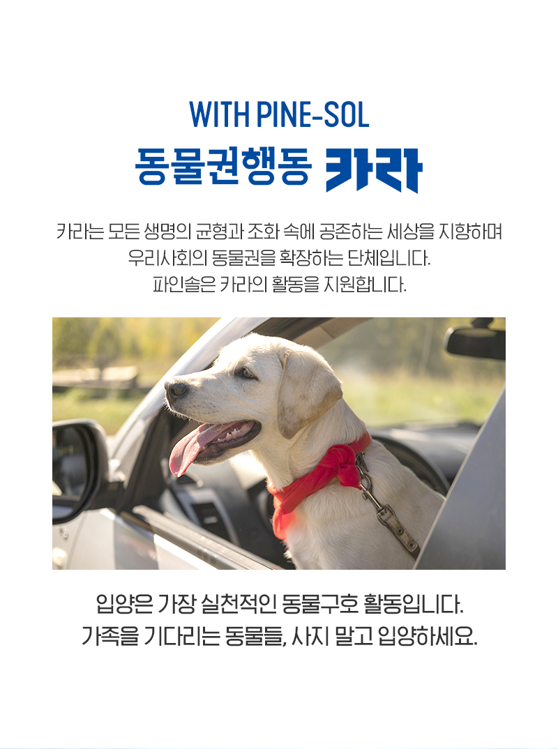240610_파인솔_네이버몰_반려동물카테고리_상세_05.jpg