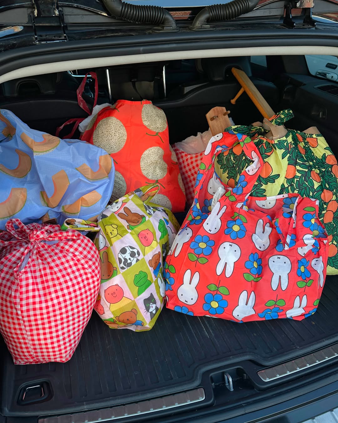 Reusable Bags- carry 2-3 plastic grocery bags worth of stuff..jpg